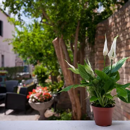 Bed and breakfast Ca' Del Pomo Grana'